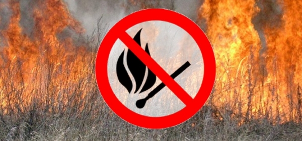 Палити листя заборонено законодавством України